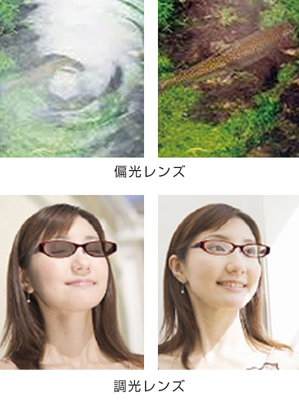 偏光レンズ・調光レンズ